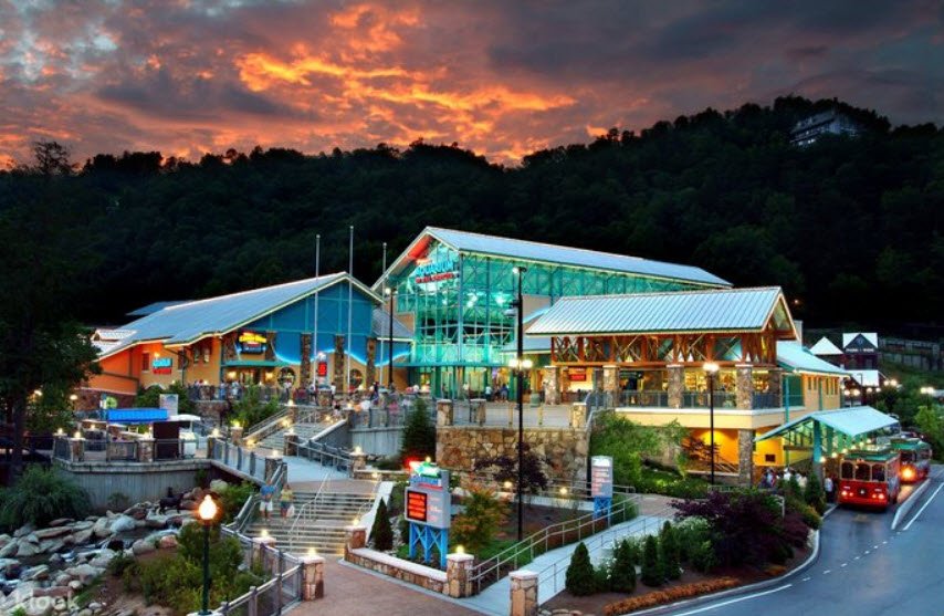 Ripley's Aquarium of the Smokies, Tennessee, USA